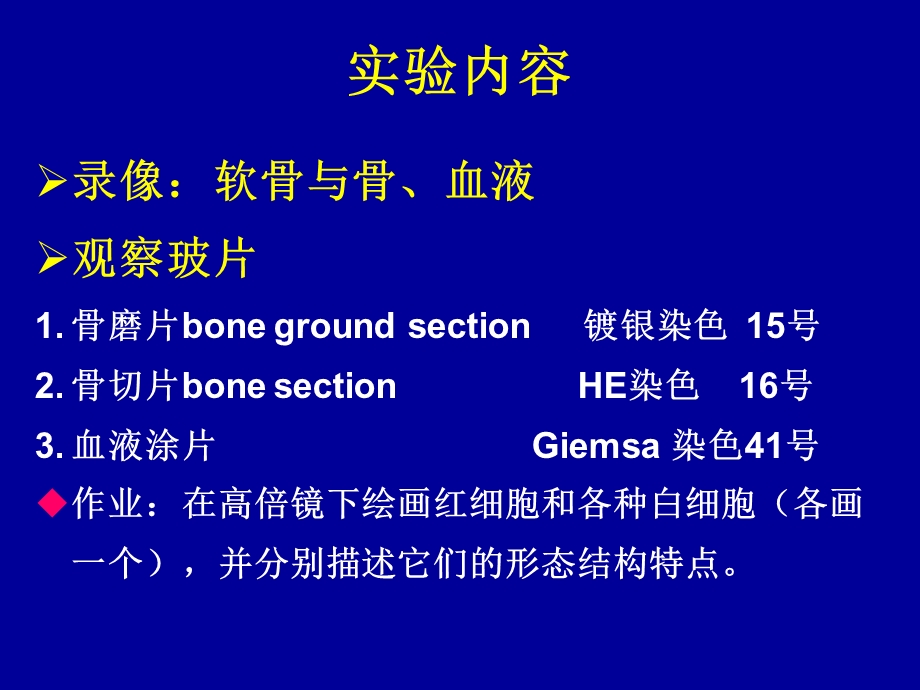 最新实验三、骨与血液 组织胚胎学PPT文档.ppt_第2页