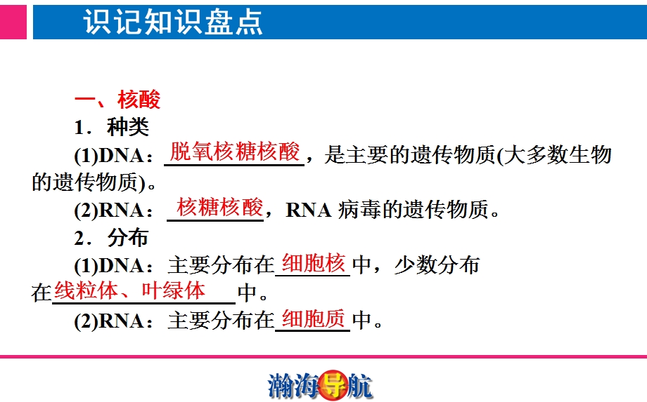 第3、4节细胞中的核酸糖类和脂质精选文档.ppt_第3页