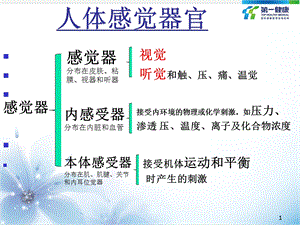 从解剖生化营养学角度认识眼睛和耳朵营养讲师班课程PPT文档资料.ppt