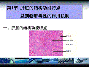 最新药物对肝脏的毒性用课件PPT文档.ppt