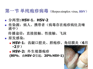 医学微生物学课件第28章 疱疹病毒PPT课件.ppt