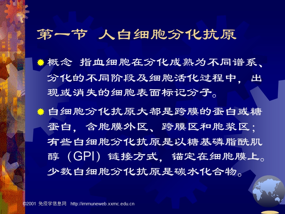 最新白细胞分化抗原和黏附分子课件PPT文档.ppt_第2页