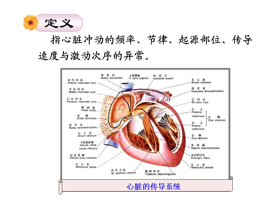 内科护理学第5版 心律失常PPT文档资料.ppt_第1页