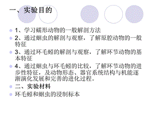 实验7蛔虫和蚯蚓的比较解剖PPT文档资料.ppt