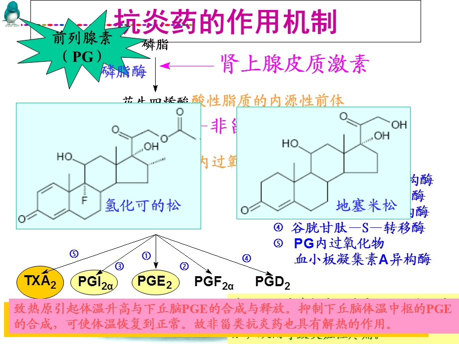 最新：非甾体抗炎药课件文档资料.ppt_第1页