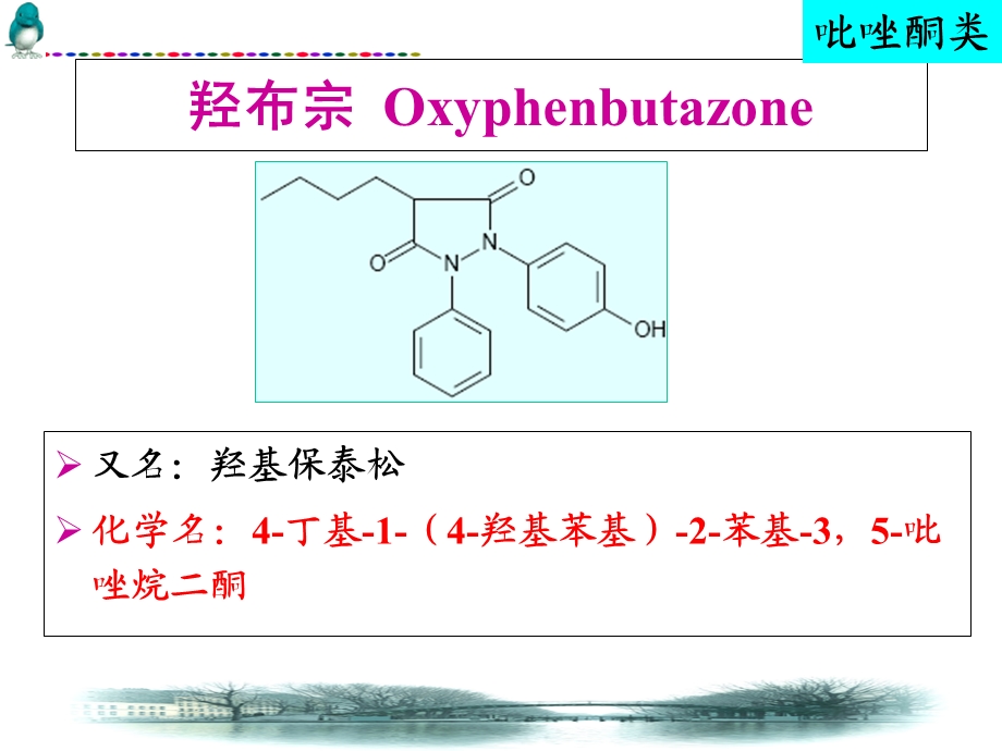 最新：非甾体抗炎药课件文档资料.ppt_第3页