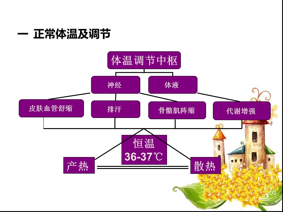 发热诊断学PPT文档资料.ppt_第2页