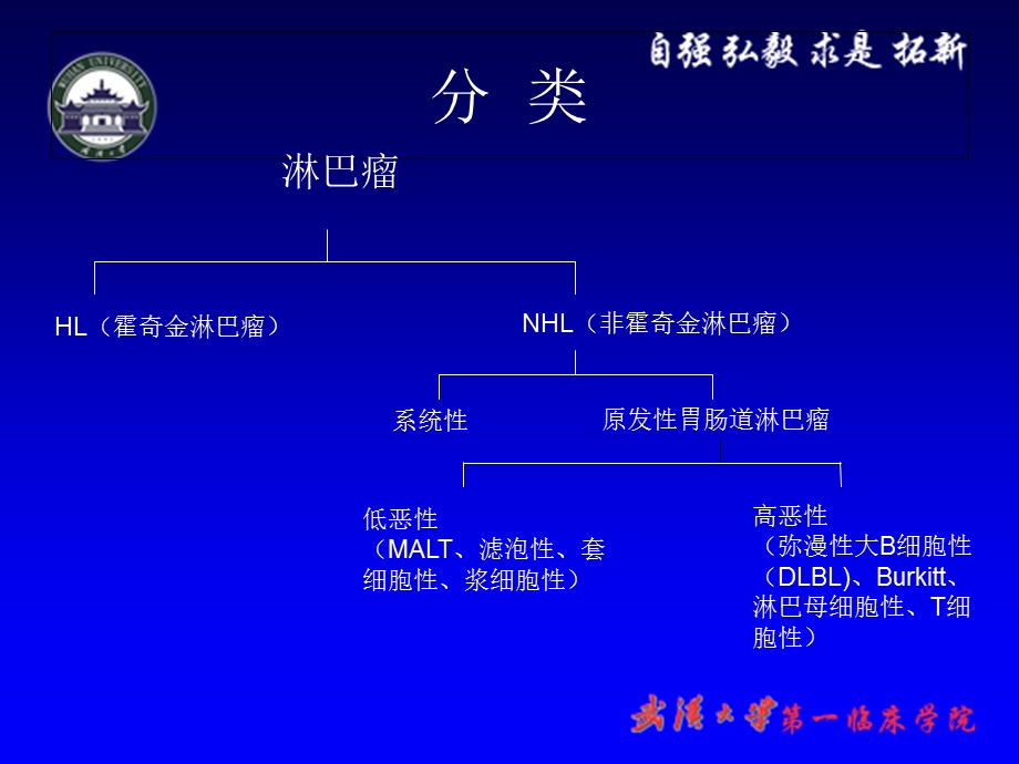 最新原发性胃肠道淋巴瘤的诊治PPT文档.ppt_第2页