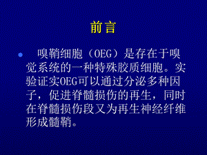 最新：嗅鞘细胞移植促进急性脊髓损伤修复实验研究文档资料.ppt