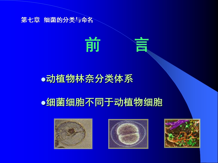 最新：革兰阳性球菌ppt细菌的分类和命名文档资料.ppt_第1页