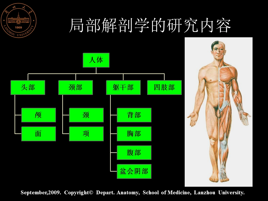 最新下肢解剖PPT文档.ppt_第3页