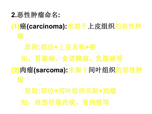 最新病理解剖学肿瘤三PPT文档.ppt