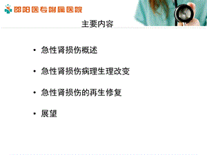 急性肾损伤和损伤修复课件文档资料.ppt