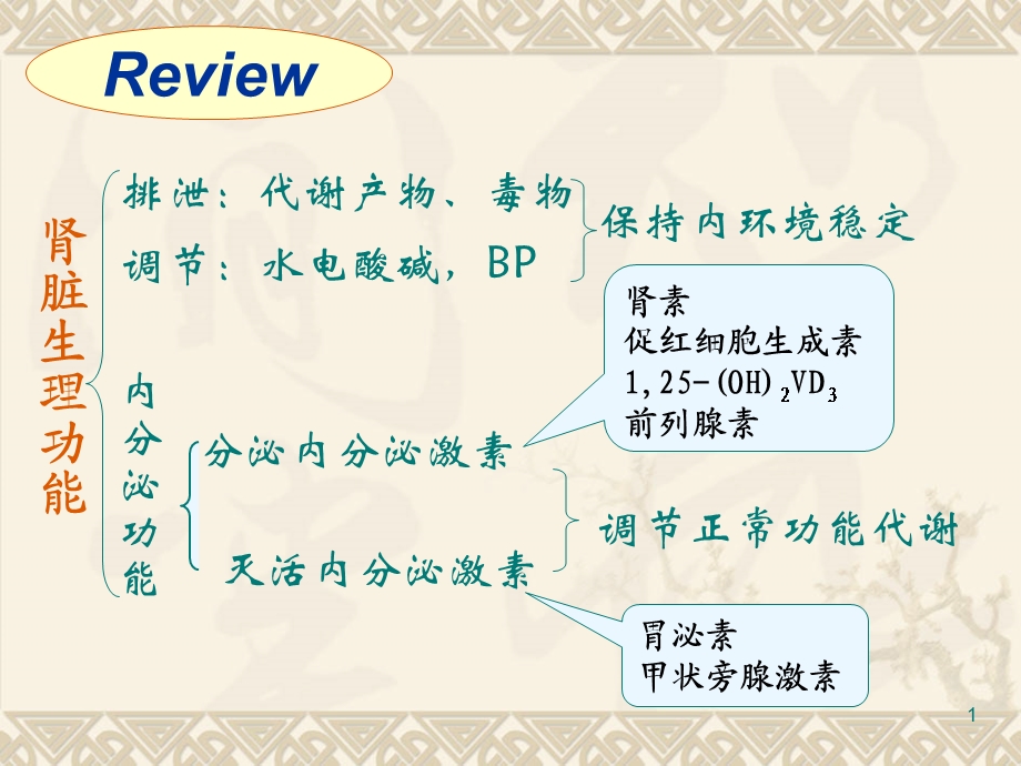 第16章 肾能不全课件文档资料.ppt_第1页