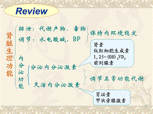 第16章 肾能不全课件文档资料.ppt