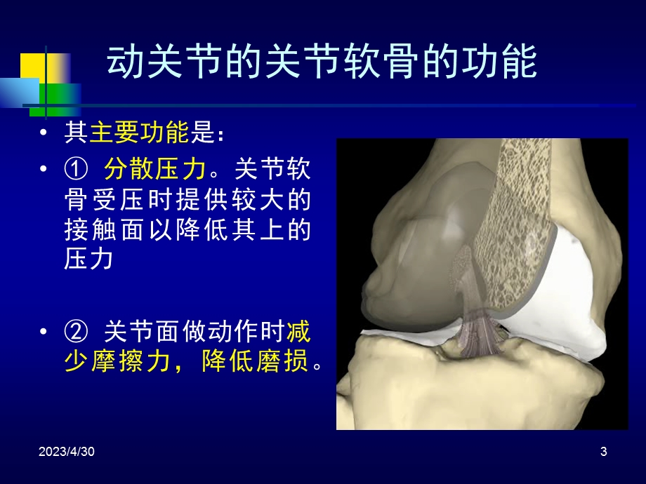 关节软骨的生物力学PPT文档资料.ppt_第3页