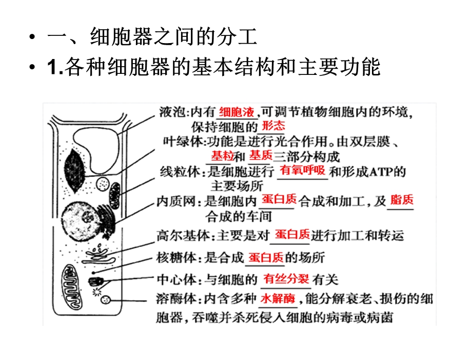 最新：第3章细胞的基本结构文档资料.ppt_第2页