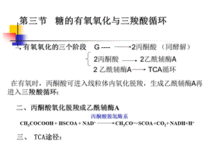 第三节糖的有氧氧化与三羧酸循环名师编辑PPT课件.ppt