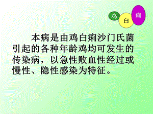 禽病学禽病临床诊断彩色图谱21鸡白痢西南精选文档.ppt