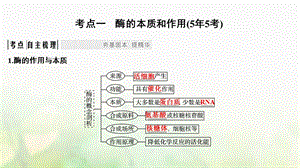 最新：高考生物一轮复习第三单元细胞的能量供应和利用第8讲酶的本质特性及相关实验探究课件文档资料精选文档.ppt