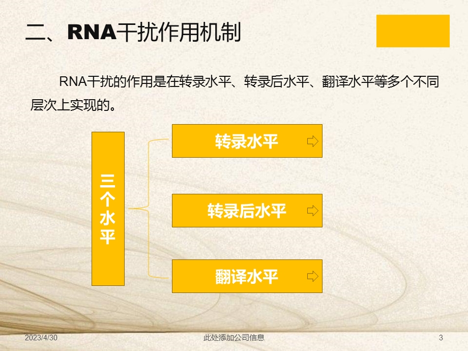 rna干扰与肿瘤研究及治疗精选文档.ppt_第3页