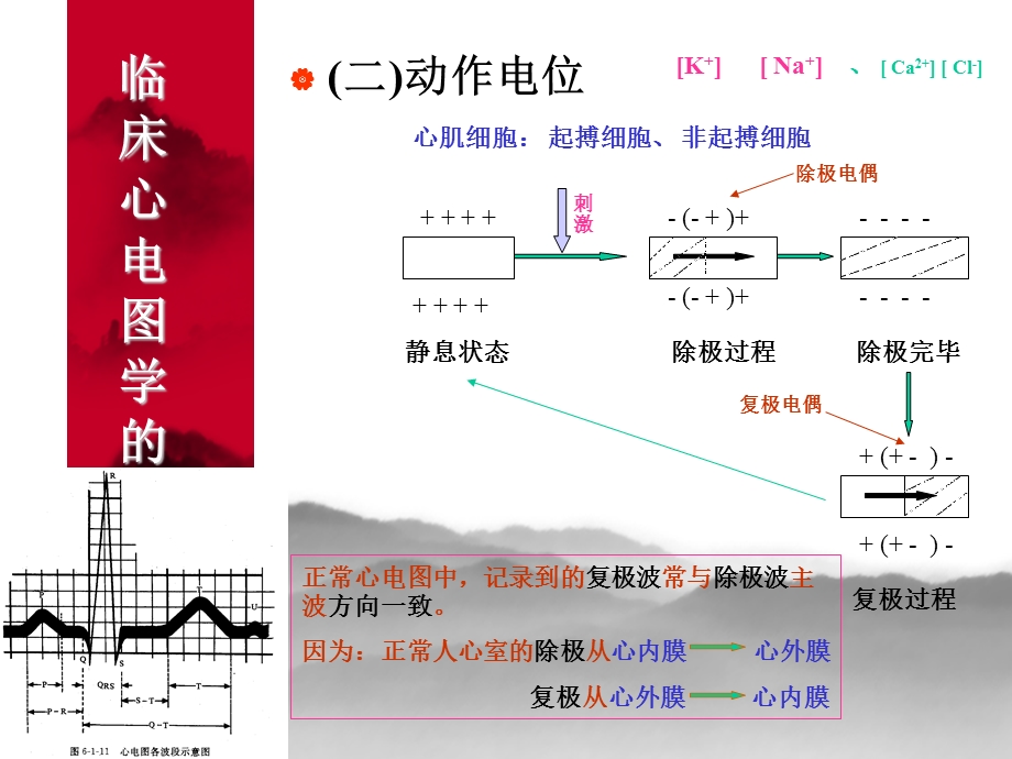 [临床医学]临床心电图学的基本知识.ppt_第3页