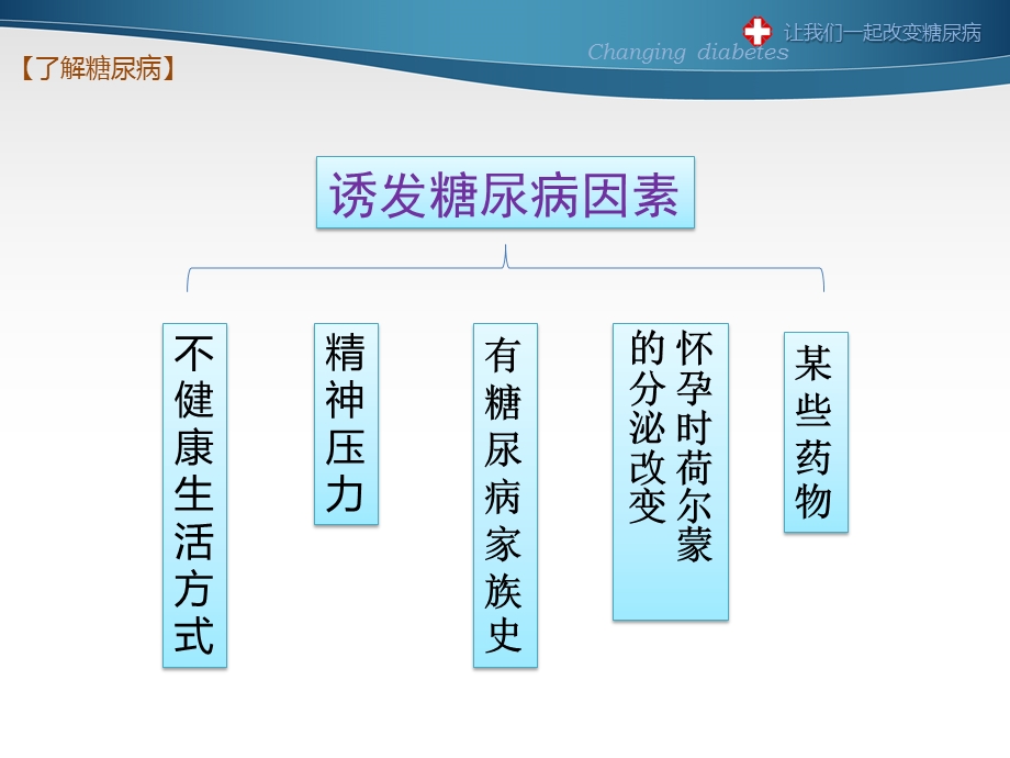 最新：糖尿病防治知识ppt课件文档资料.pptx_第3页