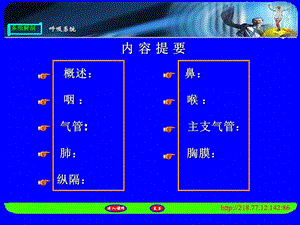 临床医学人体解呼吸系统PPT课件.ppt