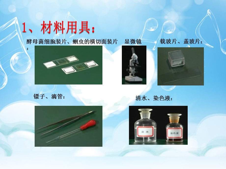 最新实验一(必修一第7页)：使用高倍显微镜观察几种细胞PPT文档.ppt_第1页