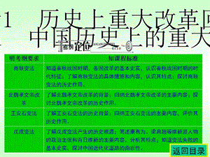 名师伴你行系列高考历史人教一轮复习配套学案部分：选考内容：历史上重大改革回眸36张ppt.ppt