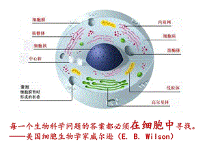 最新第一章走近细胞第一节从生物圈到细胞PPT文档.ppt