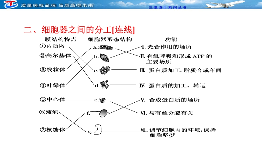 最新：必修1第二单元第三讲细胞器与生物膜系统文档资料.ppt_第3页