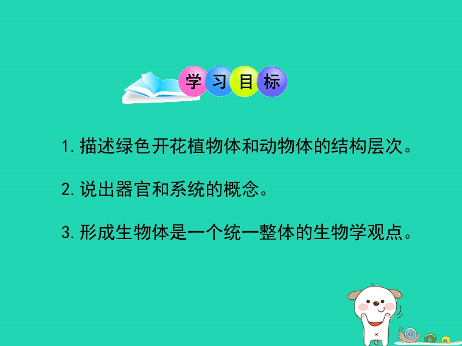 七年级生物上册1.2.3多细胞生物体的结构层次课件新版济南版.pptx_第2页