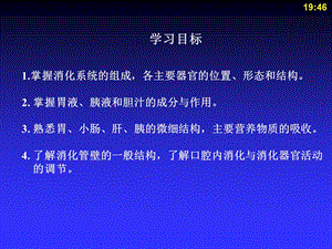 人体解剖生理学第七章消化系统PPT文档资料.ppt