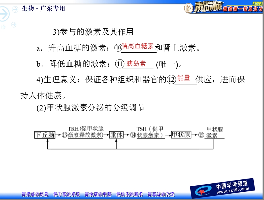 最新第23节通过激素的调节神经调节与体液调节的关系一PPT文档.ppt_第2页