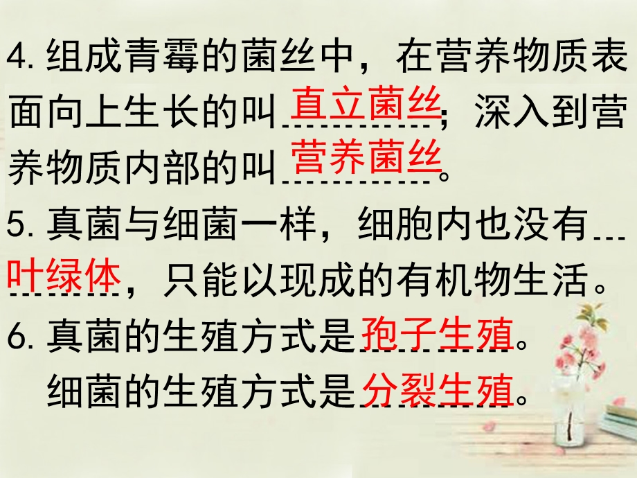 福建省长泰县第二中学八年级生物上册 5.4 细菌和真菌在自然界中的作用课件 新版新人教版文档资料.ppt_第1页