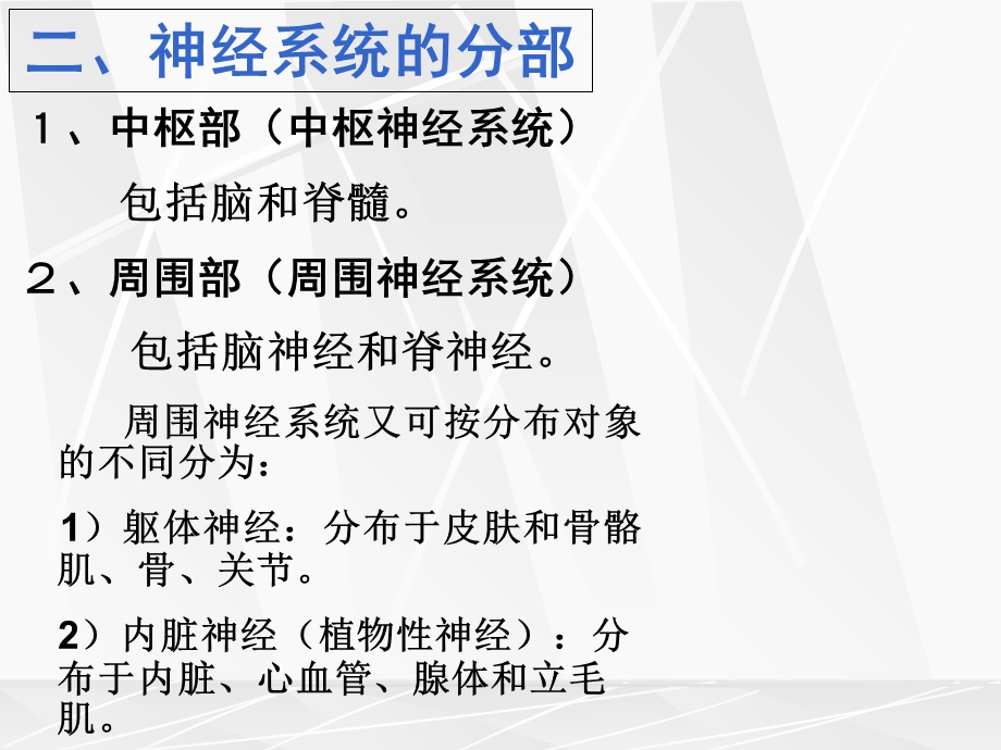 12神经系统总论及脊神经1文档资料.ppt_第2页