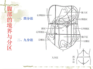 最新19腹前外侧壁的解剖PPT文档.ppt