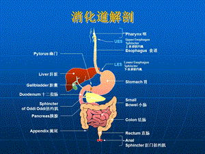 消化系统常用药鲁临文档资料.ppt