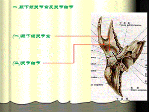 01第一节颞下颌关节的构成精选文档.ppt