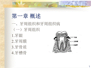 最新口腔内科学5牙周组织病PPT文档.ppt