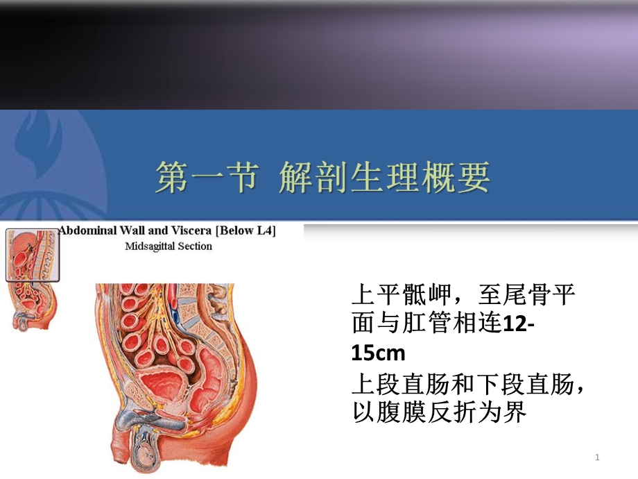 结、直肠与肛管疾病文档资料.ppt_第1页