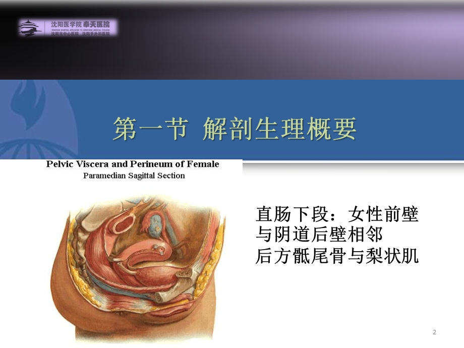 结、直肠与肛管疾病文档资料.ppt_第2页