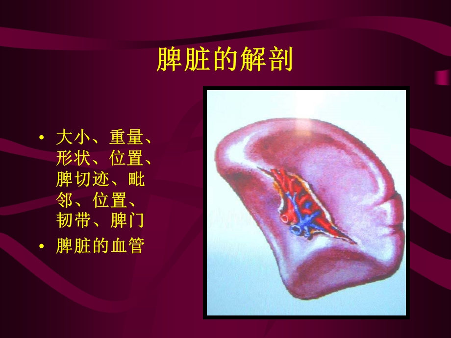 最新哈尔滨科大学肿瘤外科学脾脏疾病PPT文档.ppt_第1页