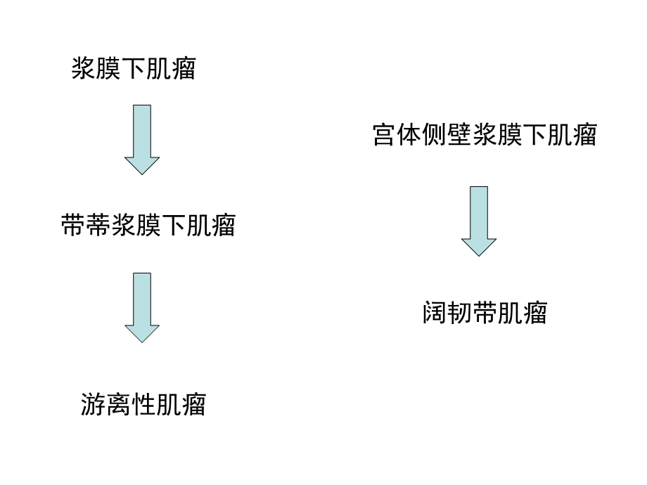 子宫平滑肌瘤精选文档.ppt_第3页