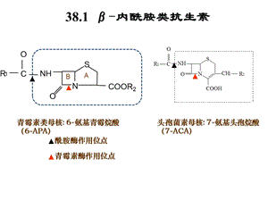 最新：药理学化疗青头孢1111文档资料.ppt