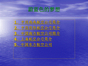 [交通运输]丁佳宇航空公司介绍PPT.ppt