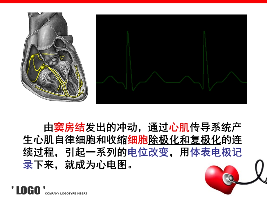 最新心电图的认识初步非专科护士PPT文档.ppt_第3页