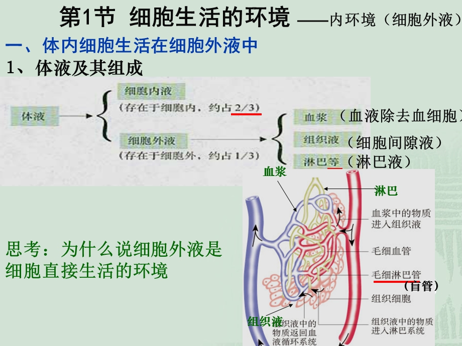 最新人教版教学课件1.1细胞生活的环境——张韶杰PPT文档.ppt_第2页