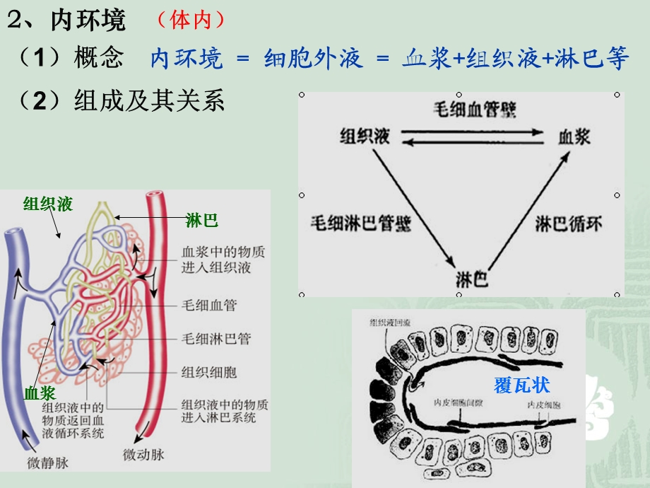 最新人教版教学课件1.1细胞生活的环境——张韶杰PPT文档.ppt_第3页